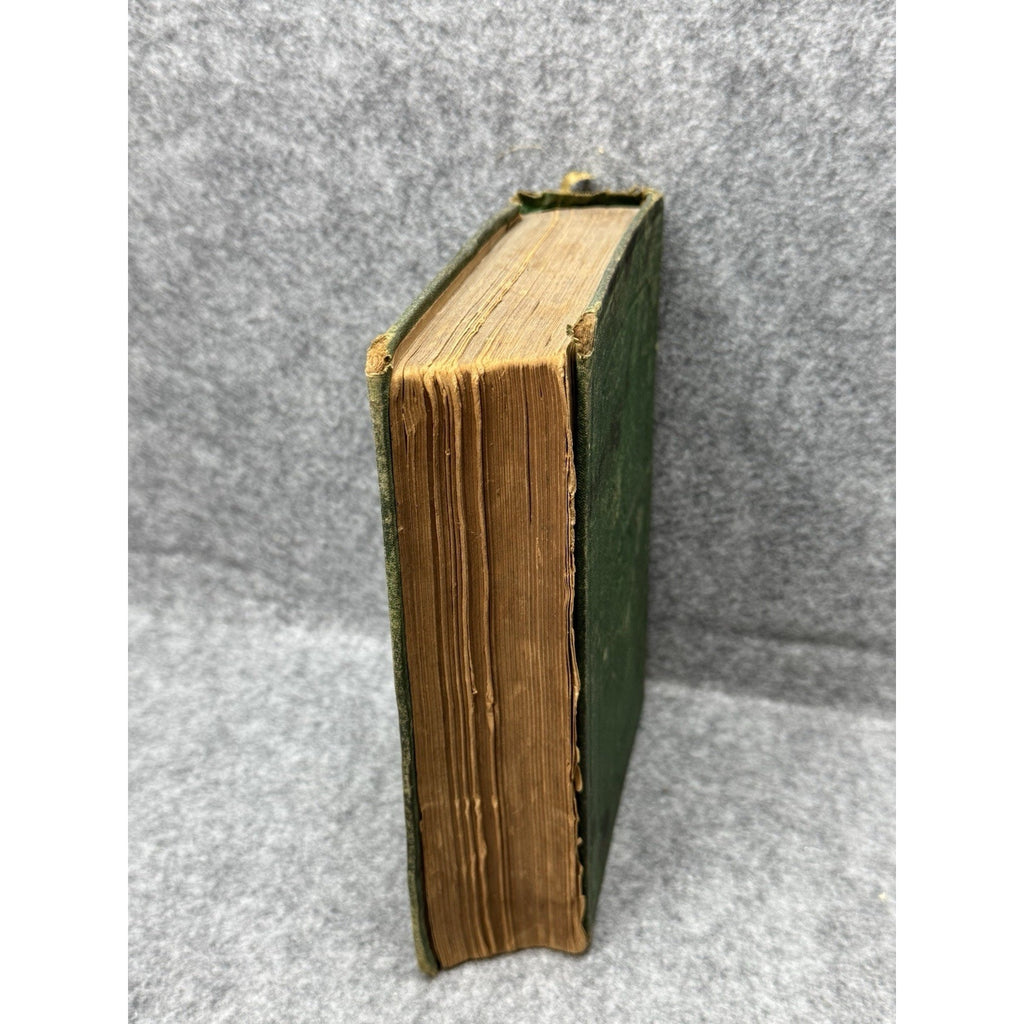 1881 Swiss Family Robinson J B Lippincott HC Illustrated Antique Book