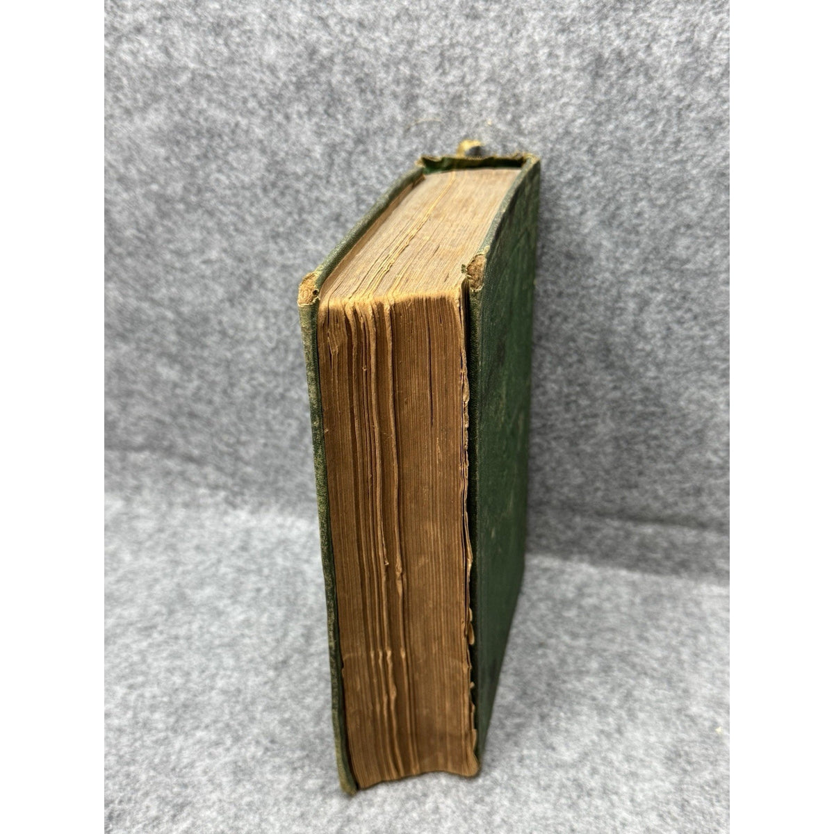 1881 Swiss Family Robinson J B Lippincott HC Illustrated Antique Book
