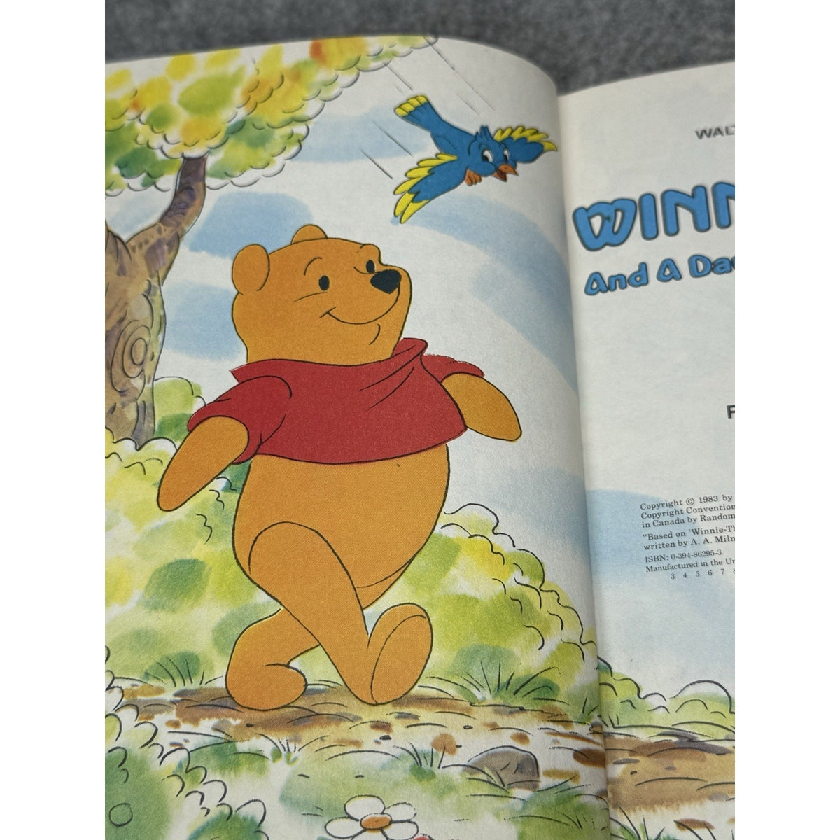Winnie the Pooh and a Day for Eeyore 1983 Disney Hardcover Book Club Edition