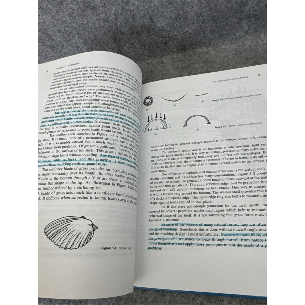 Elementary structures for architects and builders by Shaeffer, R. E, Good Book