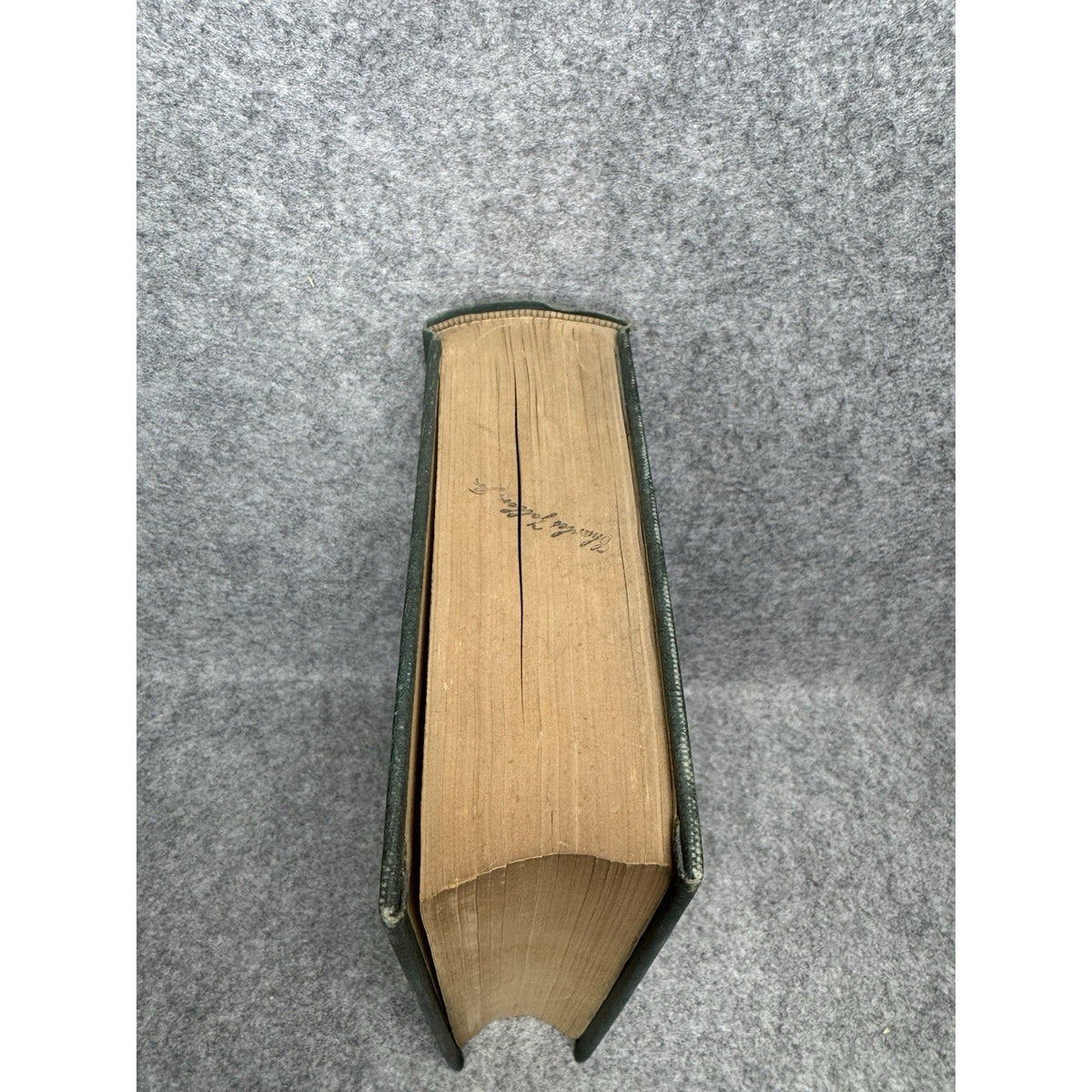 1924 Introduction to Entomology Comstock First Complete Edition Illustrated HC