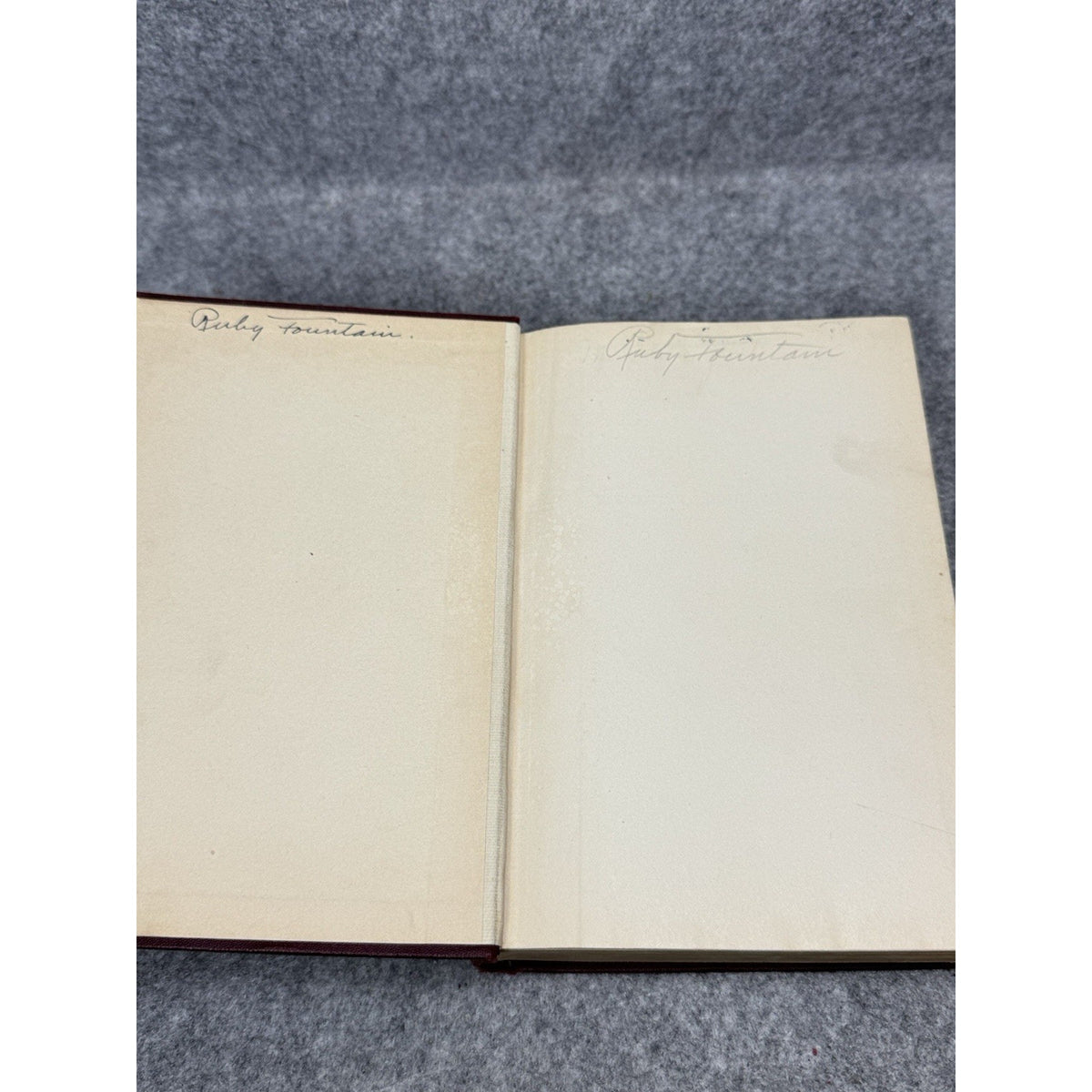 1931 Elementary Home Economics Unit-Problem Plan Mary Lockwood Matthews HC
