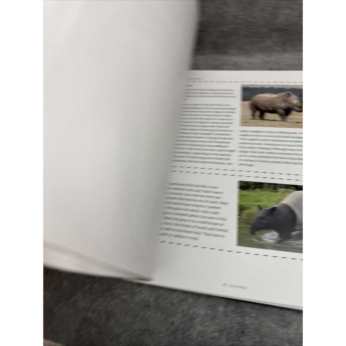 The Good And The Beautiful Mammals K-8 Science Unit Spiralbound Book