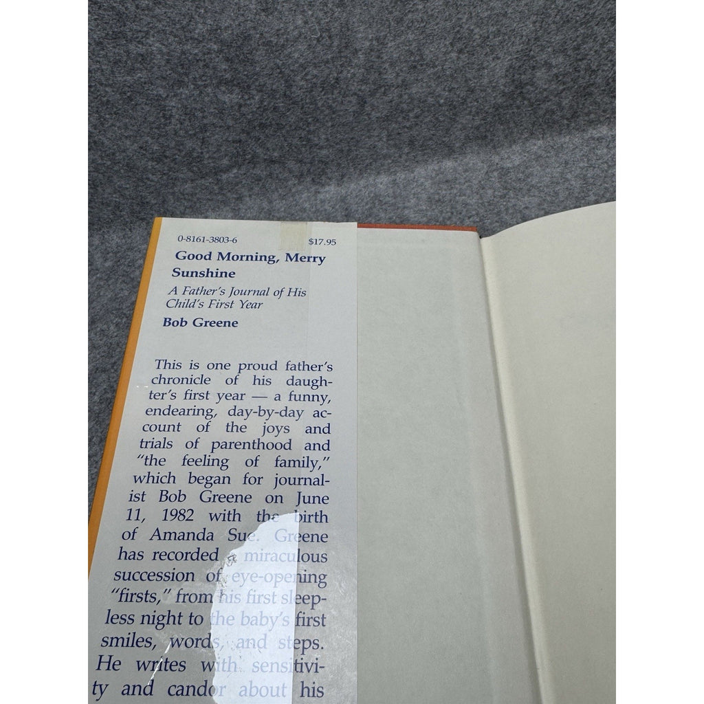 Good Morning Merry Sunshine Bob Greene 1985 Large Print Hardcover Fatherhood