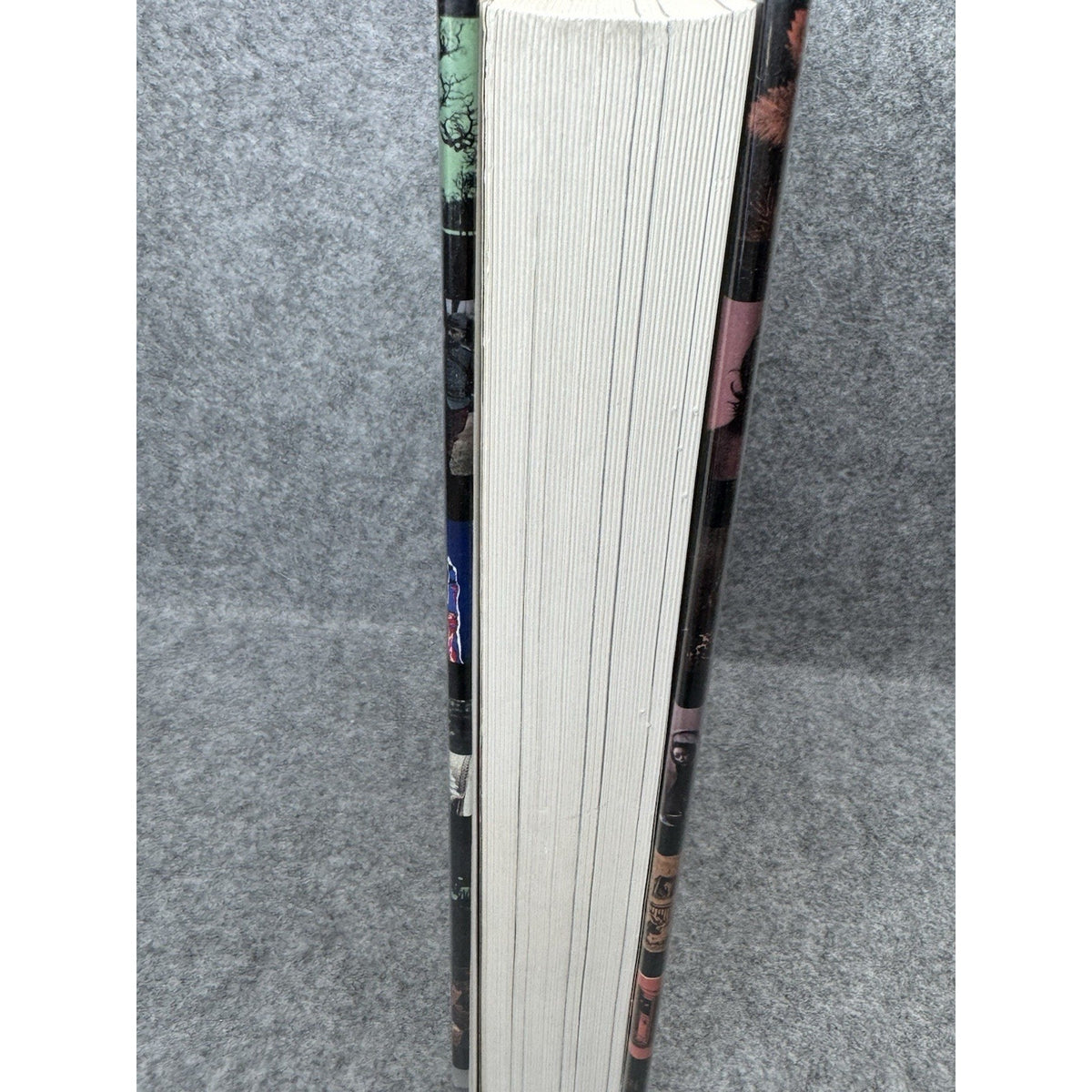A World History of Photography Naomi Rosenblum 1984 Hardcover DJ Illustrated