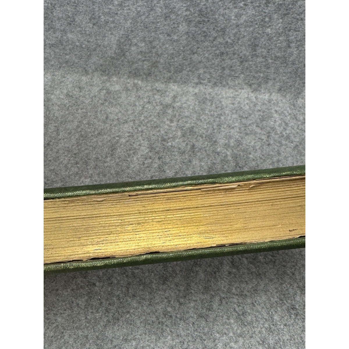 1875 The Insect Jules Michelet First English Edition Giacomelli Illustrated HC