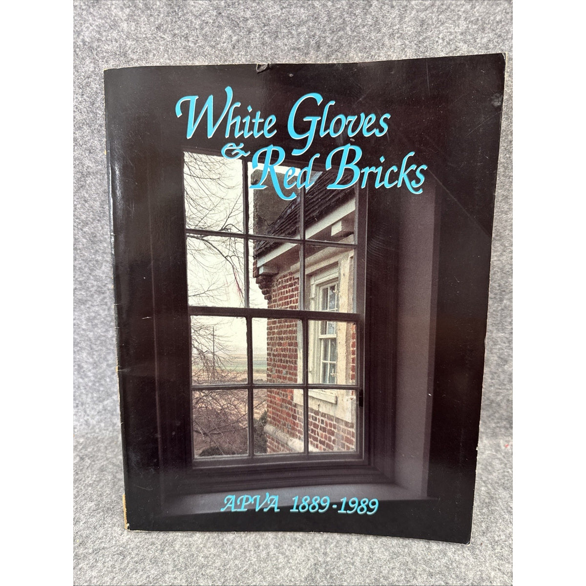 White Gloves and Red Bricks : Apva, 1889-1989 Nancy Elizabeth Packer, Curator