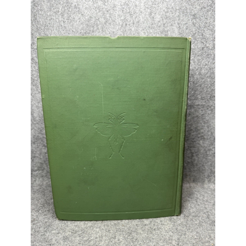 1926 Fabre’s Book of Insects E J Detmold Color Plates Dodd Mead Gilt Hardcover
