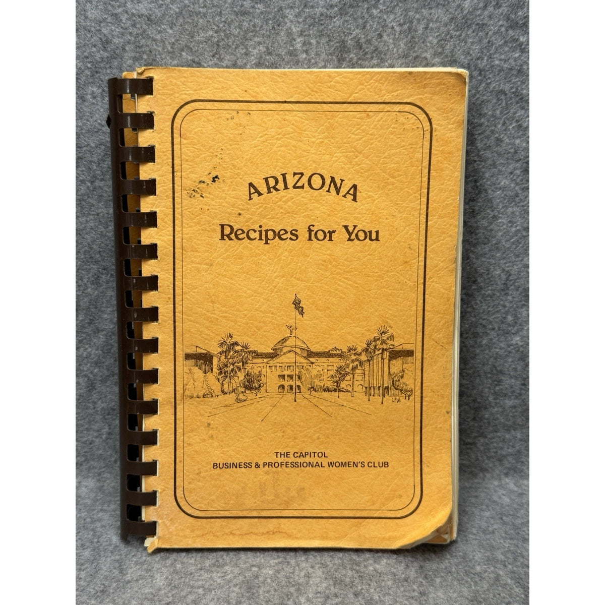 Arizona Recipes for You 1982 Phoenix BPW Club Vintage Community Cookbook