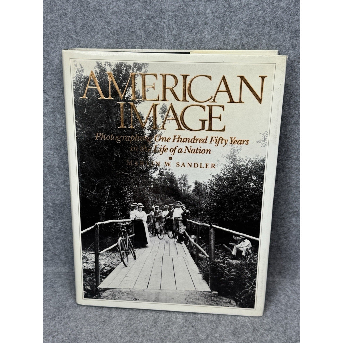 1989 American Image Martin W Sandler Photography American History Hardcover DJ