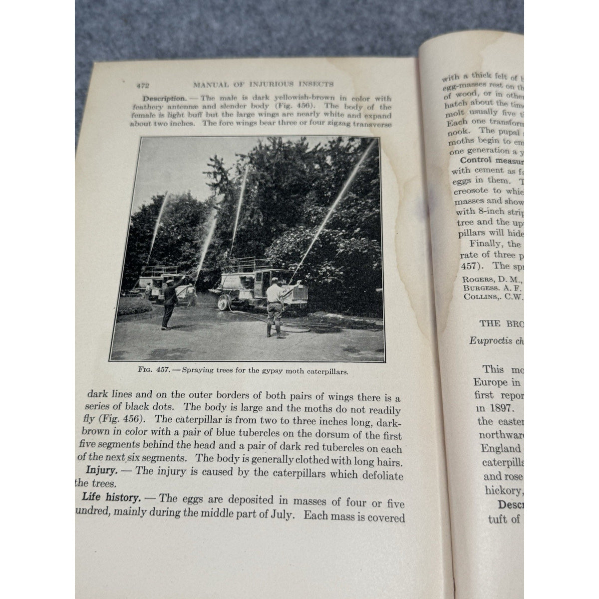1927 Manual of Injurious Insects Glenn W Herrick Illustrated Entomology HC