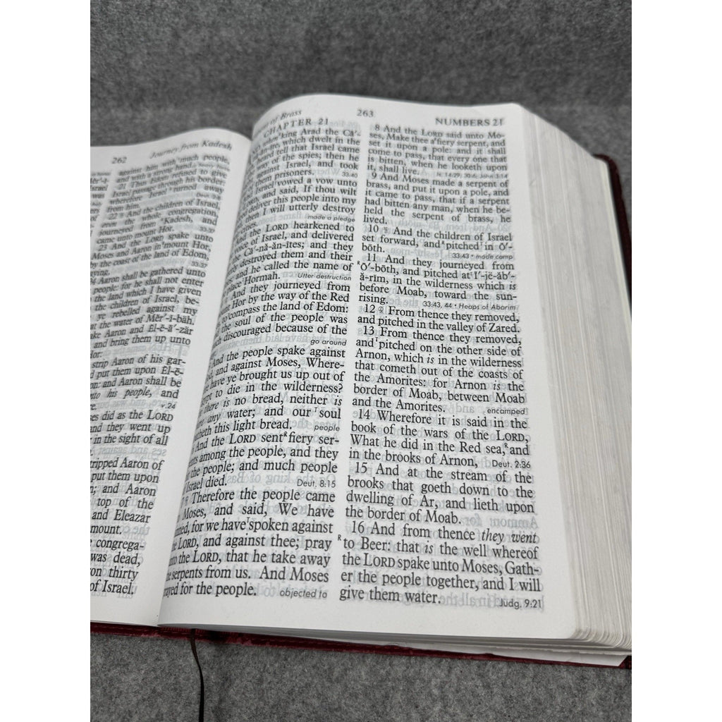 KJV Holy Bible Thomas Nelson Burgundy Red Letter Read Along References