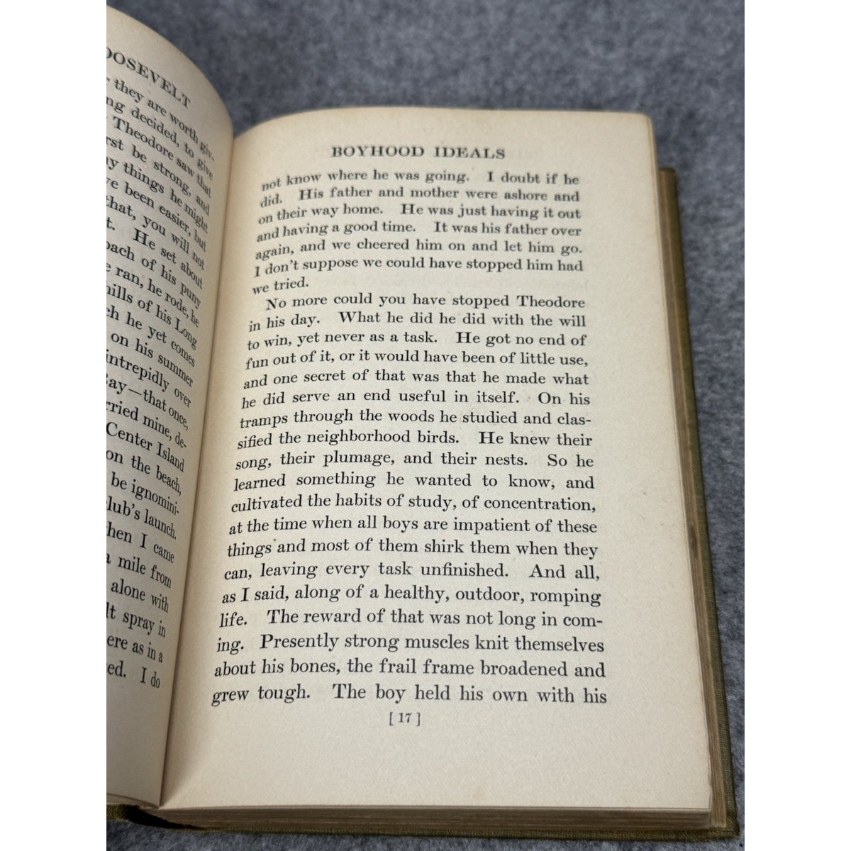 Theodore Roosevelt the Citizen Jacob A. Riis 1904 Special Edition Hardcover