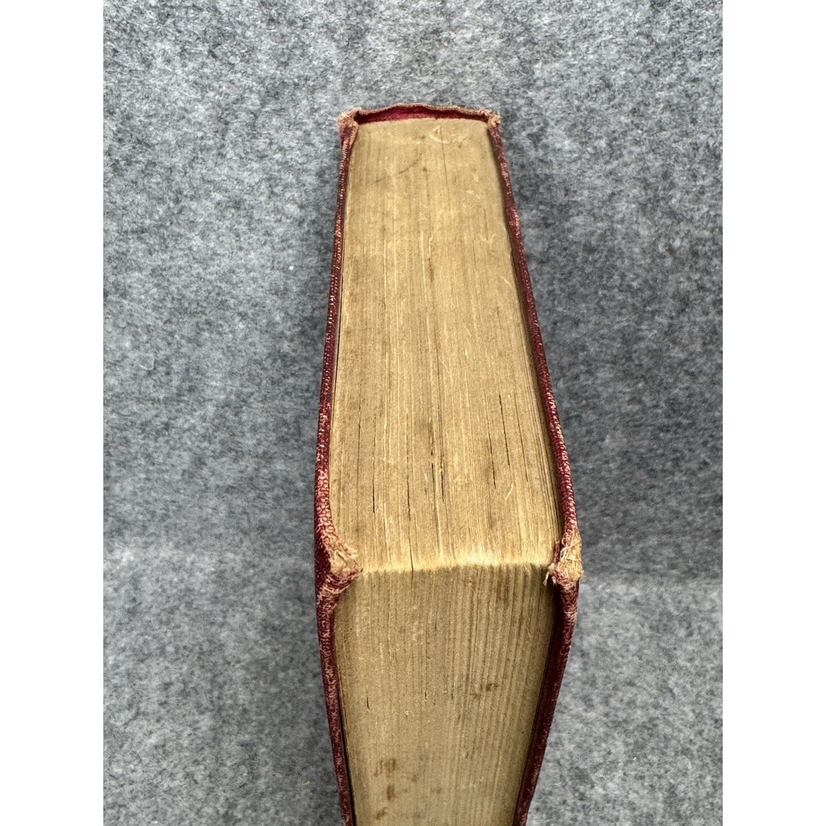 The Conquest of Canaan Booth Tarkington 1905 Illustrated A.L. Burt Hardcover