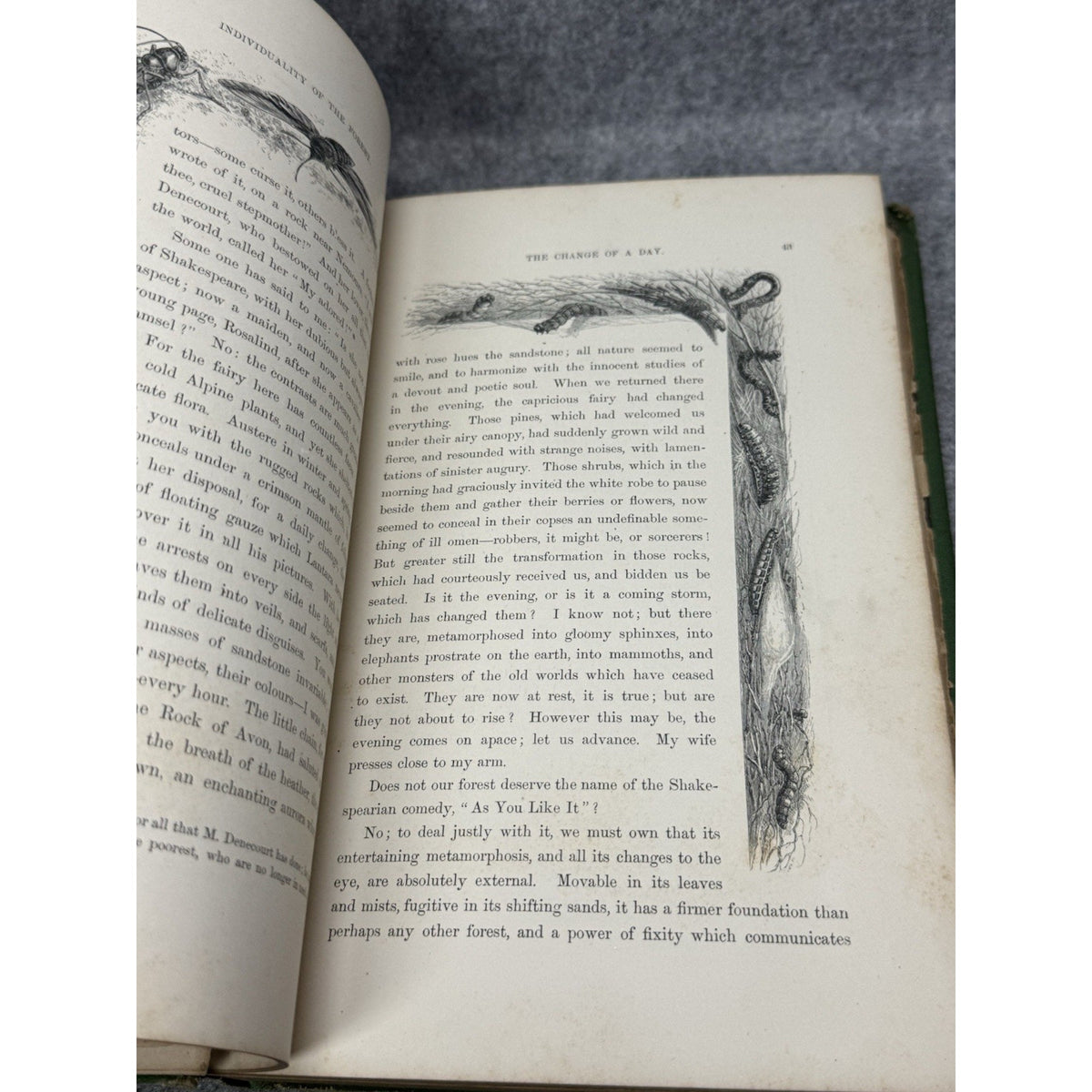 1875 The Insect Jules Michelet First English Edition Giacomelli Illustrated HC