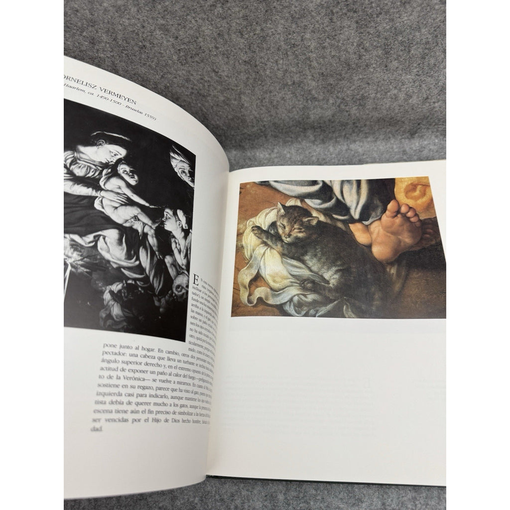 El Gato en el Arte 1988 HC DJ Mondadori Cat Art Painting History Spanish