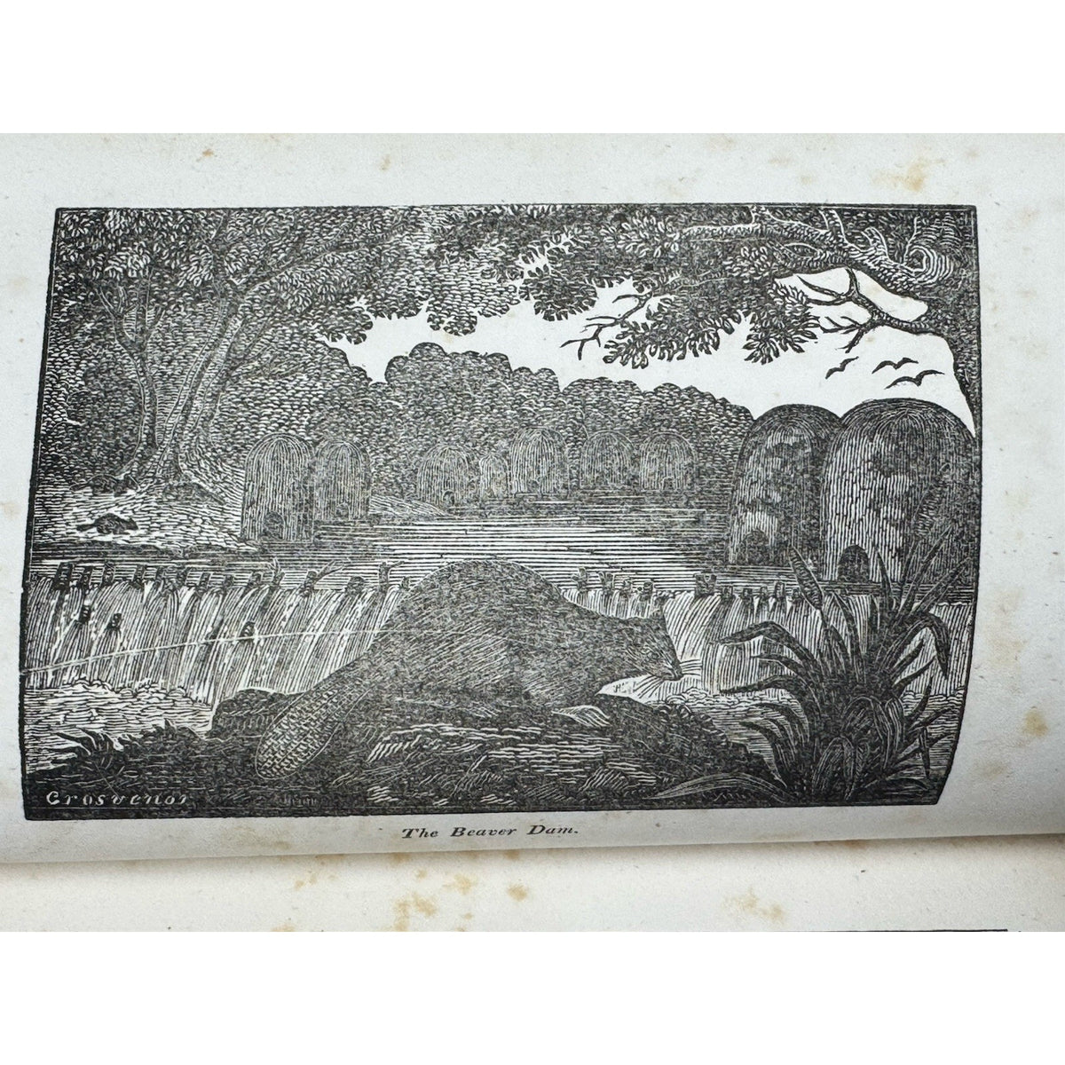 Scarce 1847 Lewis & Clark Journal Patrick Gass Original Leather Illustrated