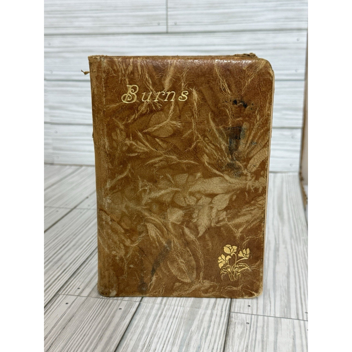 The Poetical Works of Robert Burns Antique Leather HC Hurst & Co