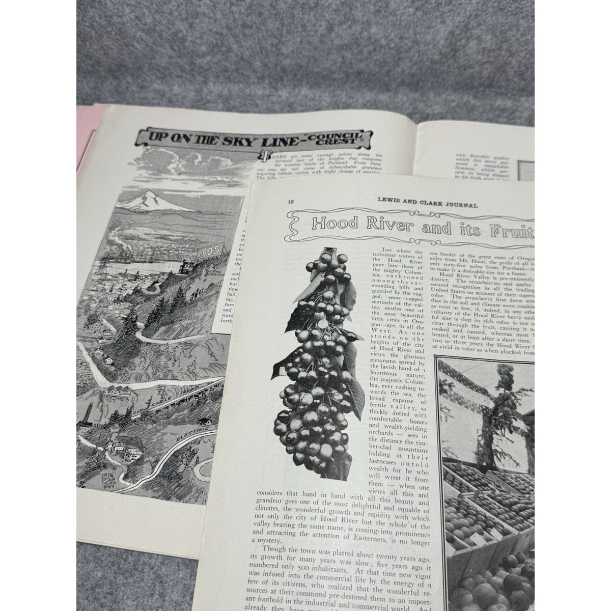 1904 Lewis & Clark Journal Portland 1905 World’s Fair Exposition Ephemera Lot