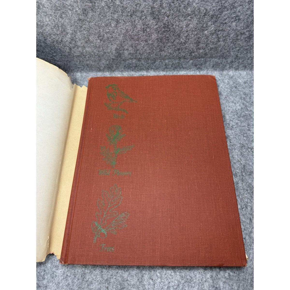 1966 Introduction to Nature John Kieran Birds Flowers Trees HC Dust Jacket