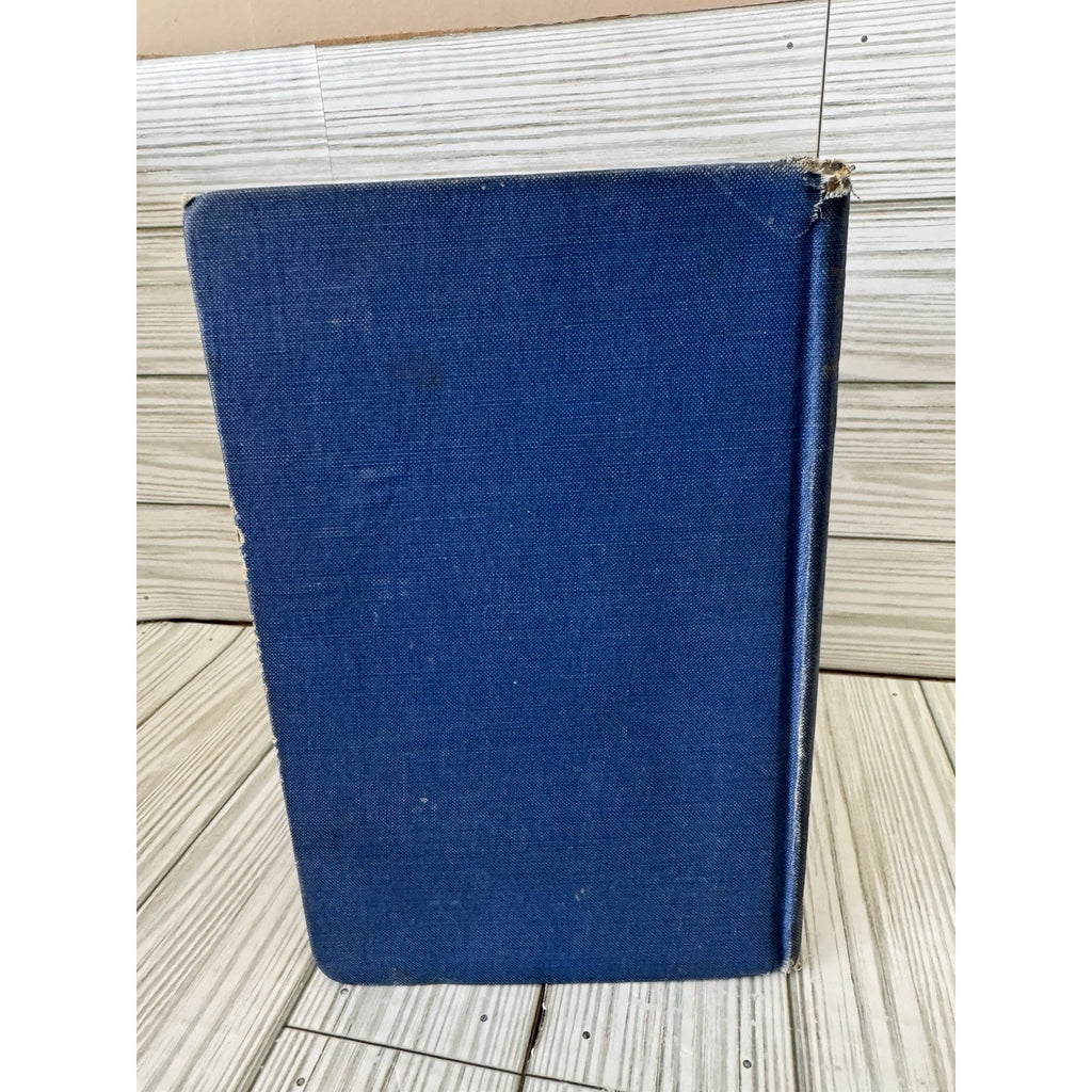 Mountain Laurel and Other Poems W Lomax Childress 1924 HC