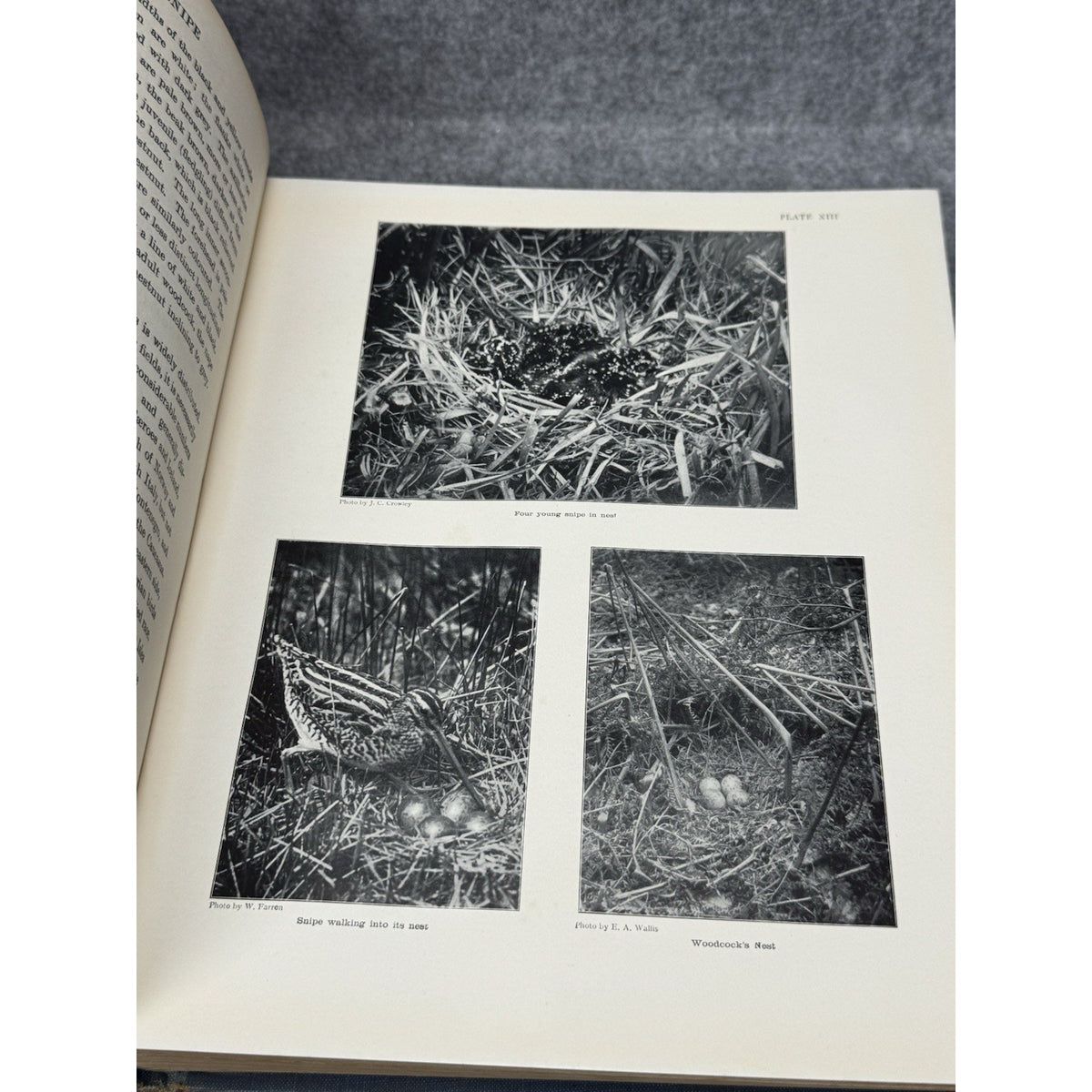 British Sporting Birds Kirkman Hutchinson 1936 Illustrated Hunting Hardcover