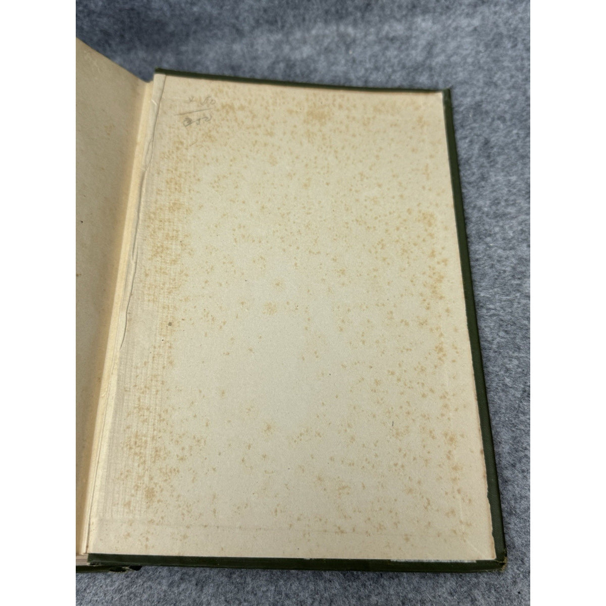 1919 The Life of the Spider J Henri Fabre Illustrated Decorative Hardcover