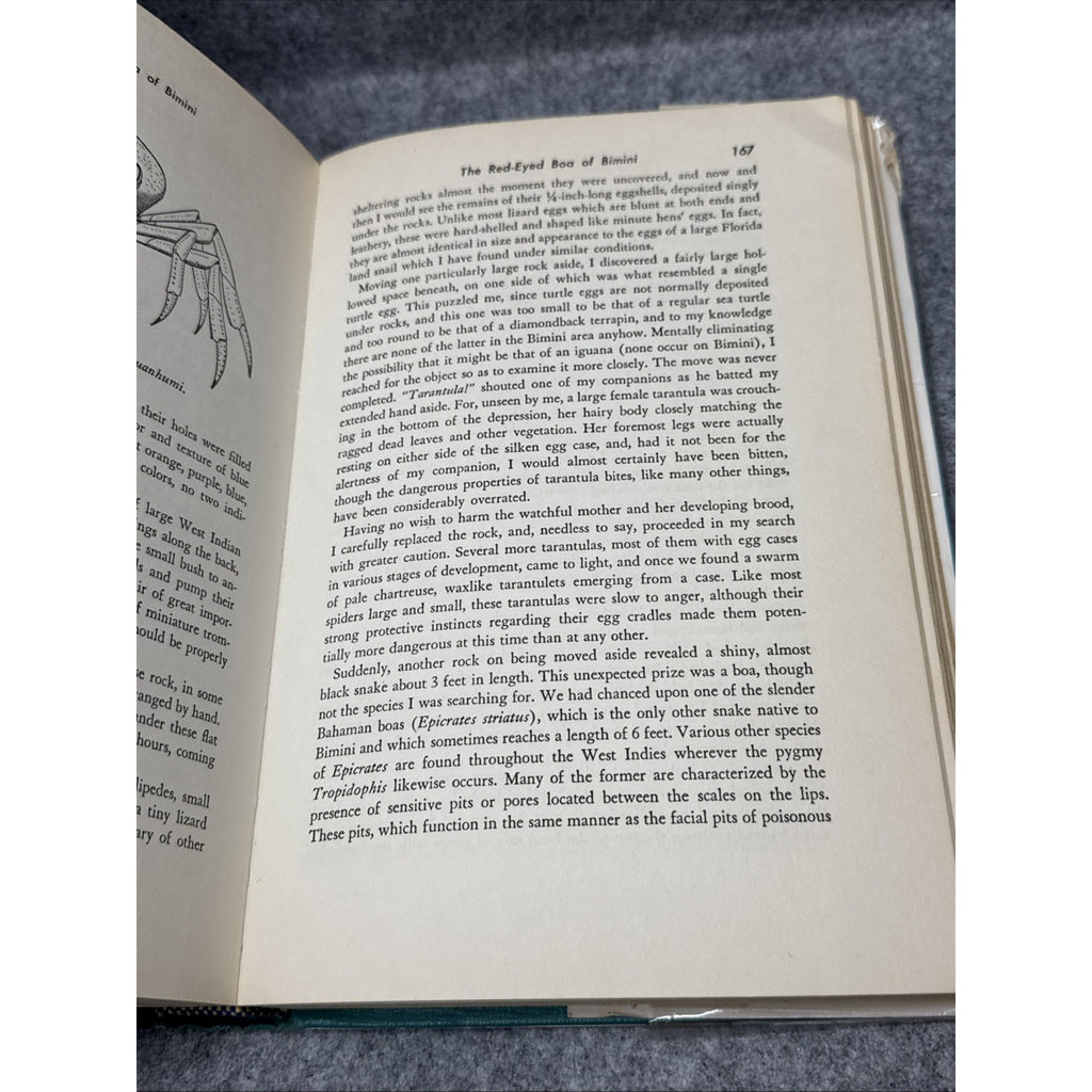 The Captive Sea by Craig Phillips HC First Edition 1964
