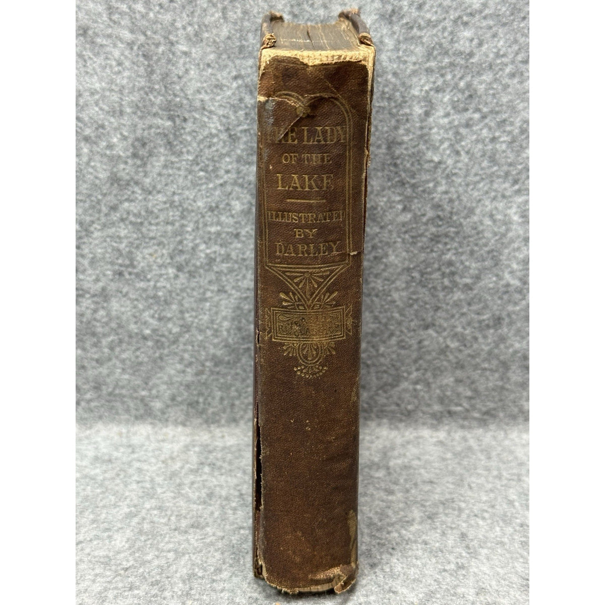 1869 The Lady of the Lake Sir Walter Scott Illustrated FOC Darley Antique