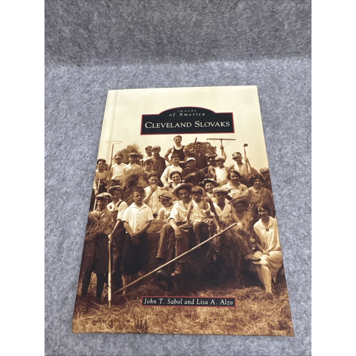 Cleveland Slovaks by John T. Sabol and Lisa A. Alzo (2009, Hardcover)