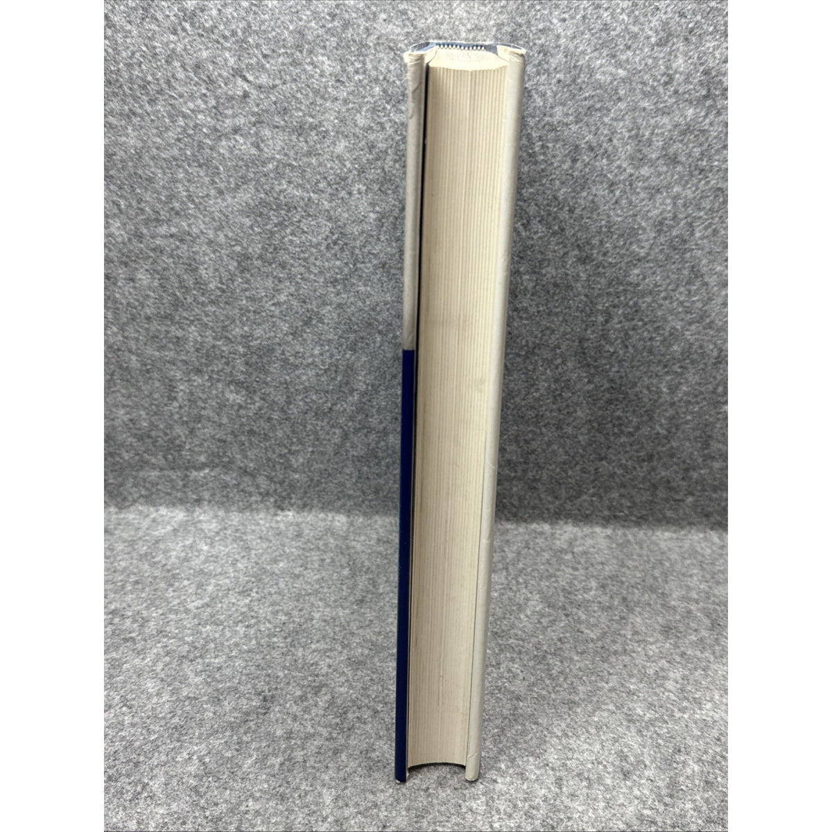 Dressage : A Guideline for Riders and Judges by Wolfgang Niggli (2003,...