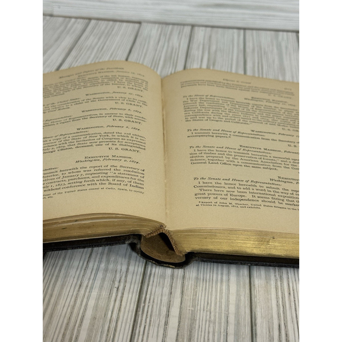 Messages and Papers of the Presidents Vol IX Richardson Antique 1897 HC