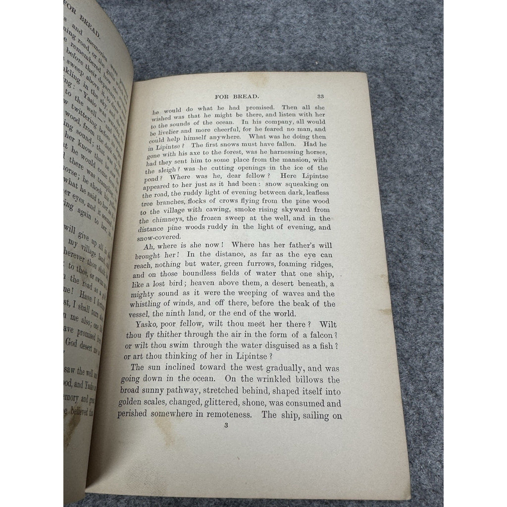 1898 Sielanka A Forest Picture Henryk Sienkiewicz Polish Stories Antique