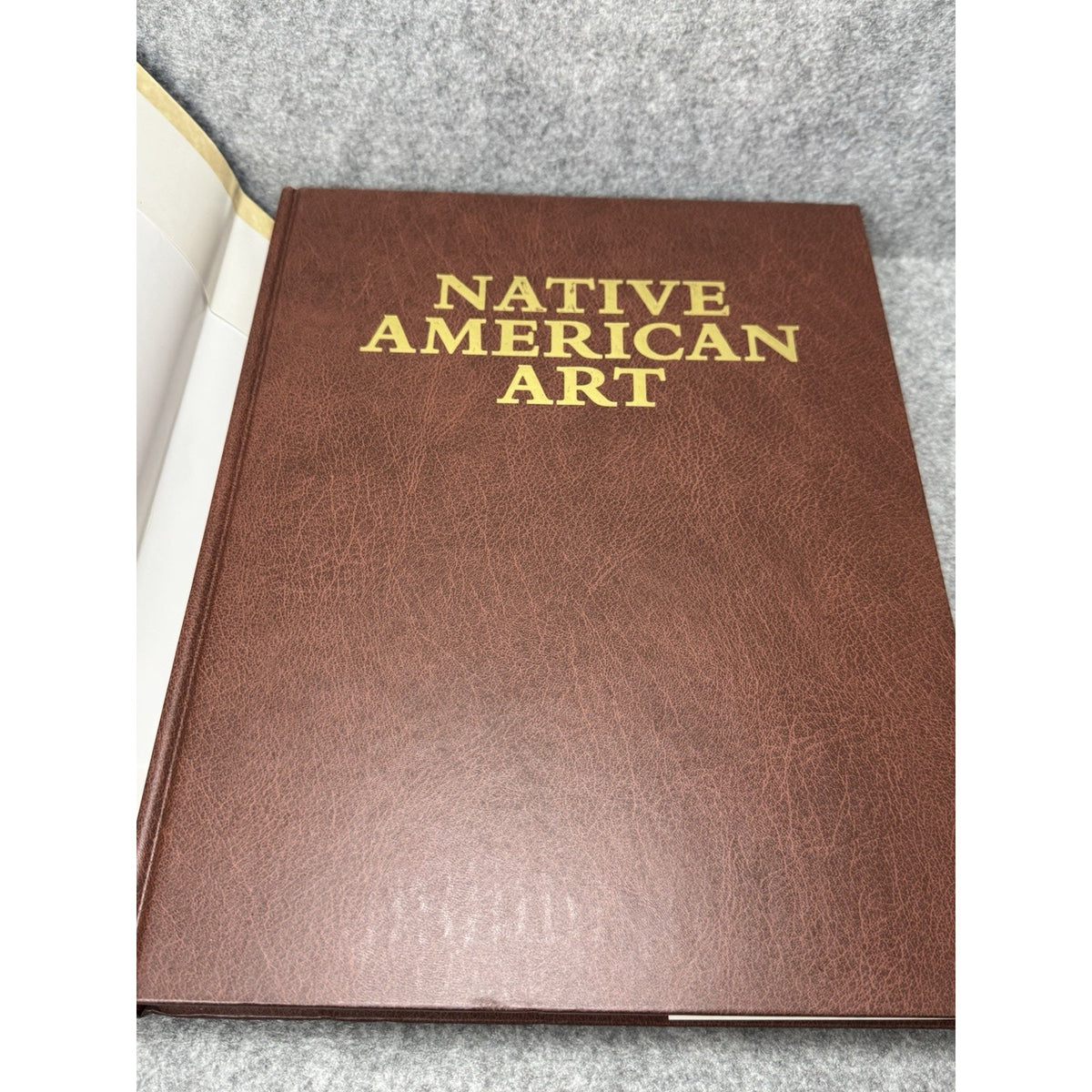 Native American Art 1994 David Penney George Longfish Beaux Arts Hardcover DJ