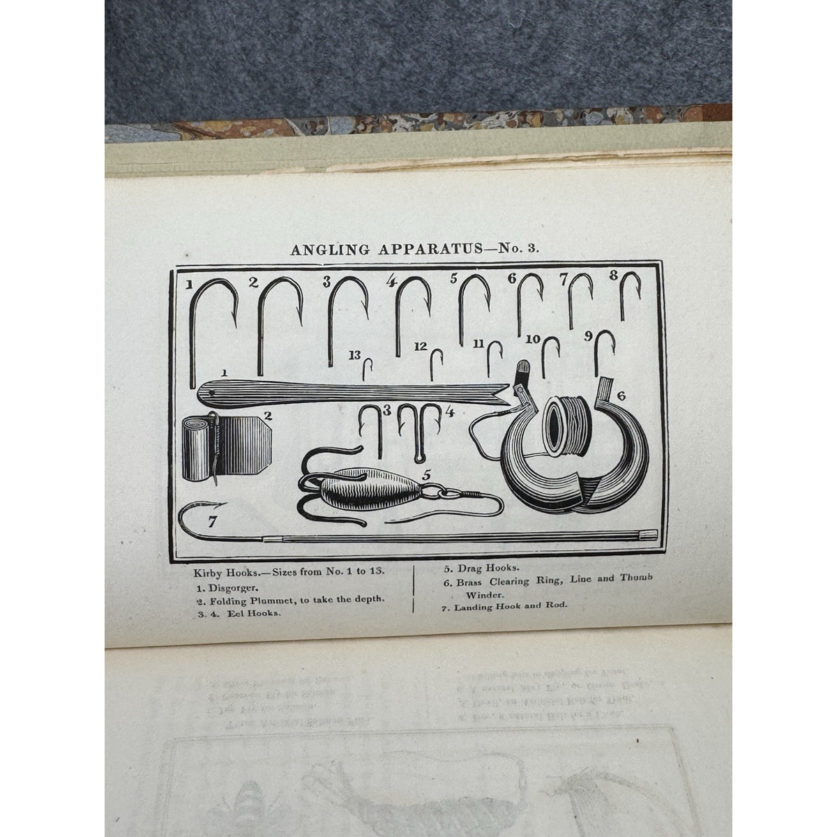 1825 Angler’s Guide T.F. Salter 6th Ed Large Paper Extra Illustrated Fishing