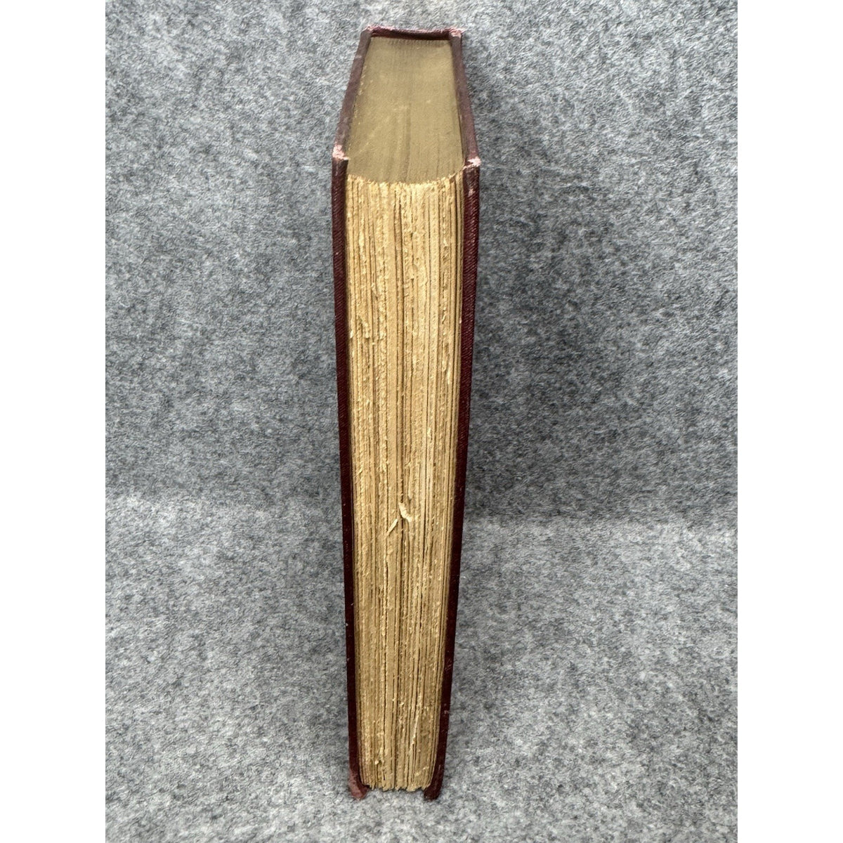 1897 Charles Darwin The Origin of Species Vol II Appleton Hardcover Gilt Top