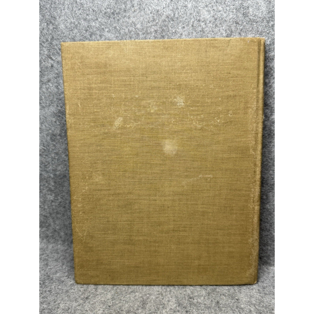 The Teenie Weenies in the Wildwood William Donahey 1923 Illustrated HC
