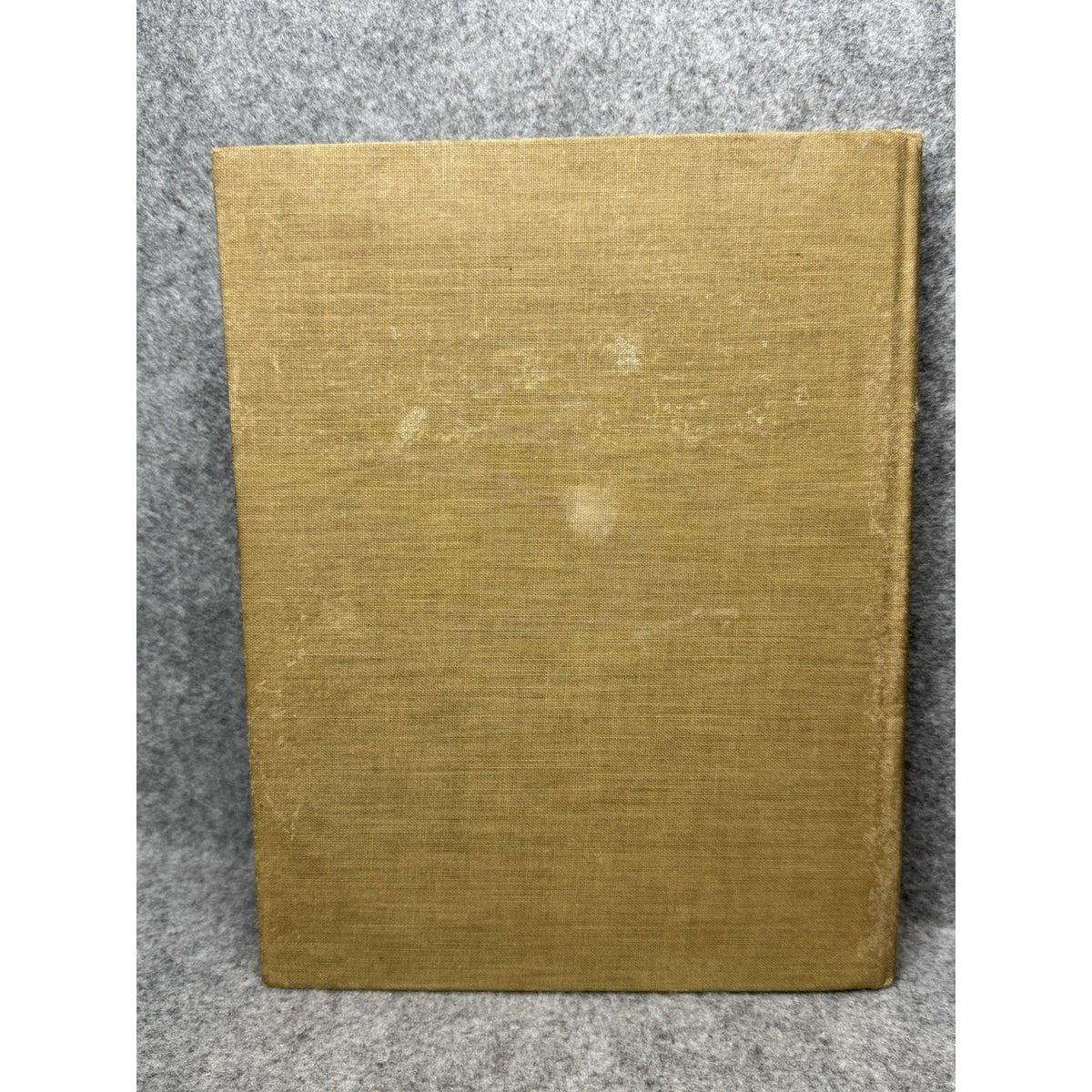 The Teenie Weenies in the Wildwood William Donahey 1923 Illustrated HC