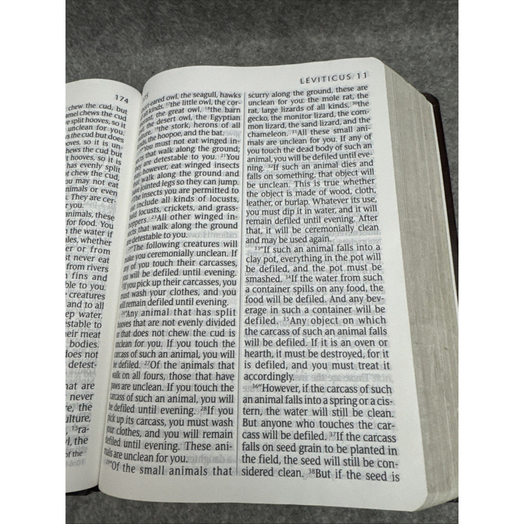 Holy Bible, Giant Print NLT by Tyndale House Publishers Staff (2008,...