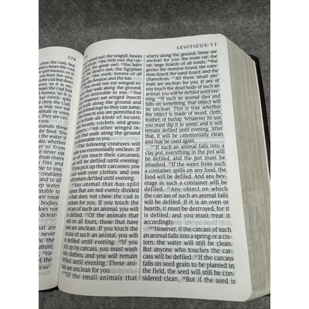Holy Bible, Giant Print NLT by Tyndale House Publishers Staff (2008,...
