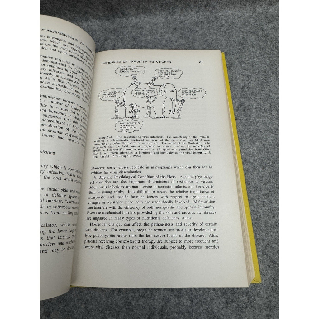 Fundamentals of Medical Virology 1974 Acton Kucera Myrvik Weiser HC