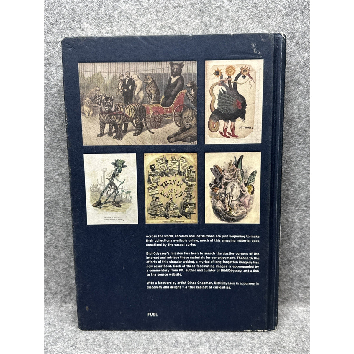 Bibliodyssey Amazing Archival Images from the Internet
