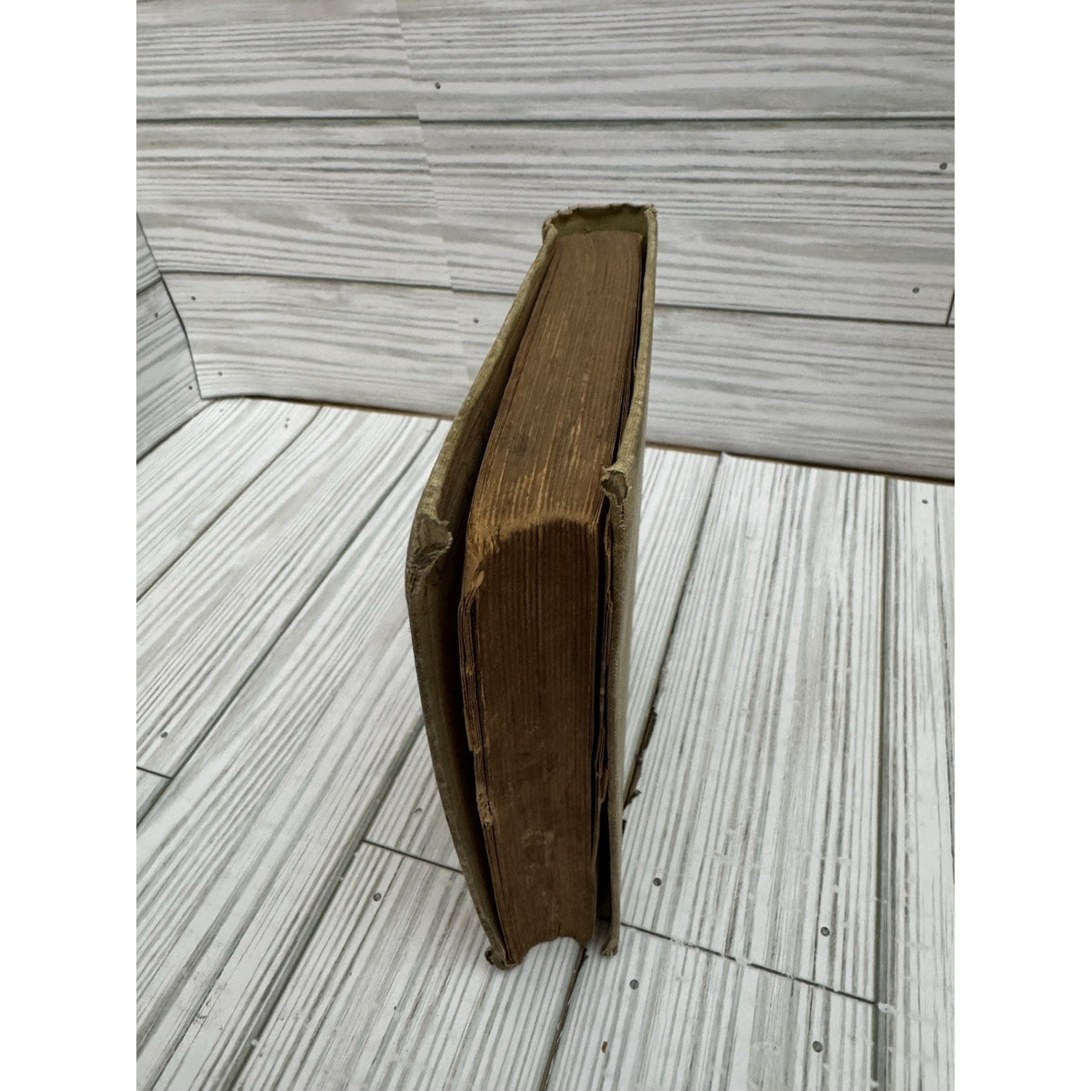 The Lady of the Lake Sir Walter Scott Antique HC Victorian Era