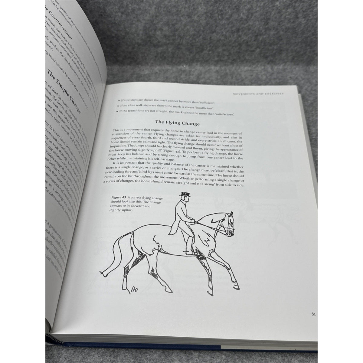 Dressage : A Guideline for Riders and Judges by Wolfgang Niggli (2003,...