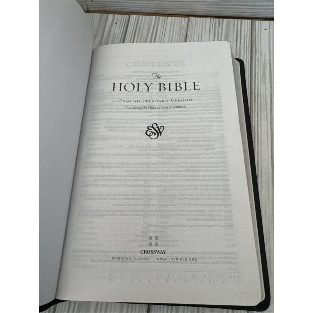 ESV Value Thinline Bible (TruTone, Charcoal, Celtic Cross Design) by Esv Bibles