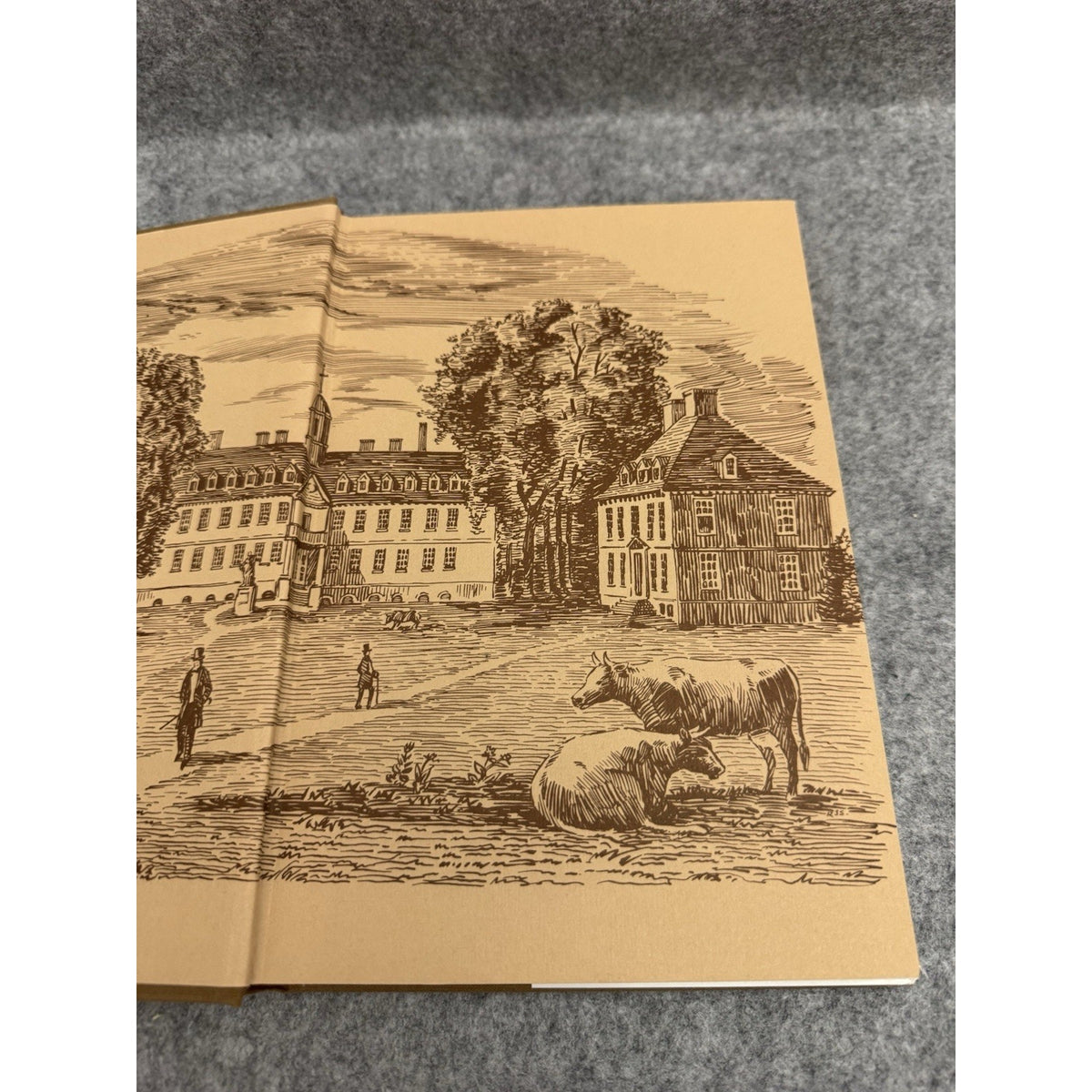 Cows on the Campus Williamsburg in Bygone Days Parke Rouse Jr 1973 HC DJ