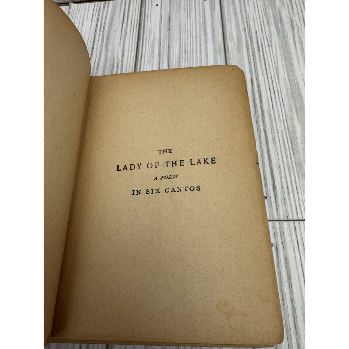 The Lady of the Lake Sir Walter Scott Antique HC Victorian Era