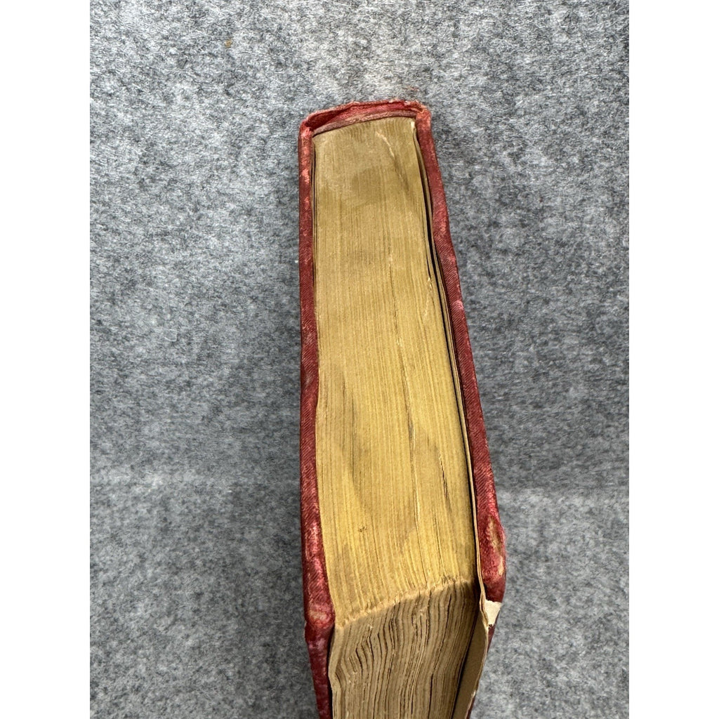 Elsie Venner A Romance of Destiny Oliver Wendell Holmes Riverside Vol V 1890s