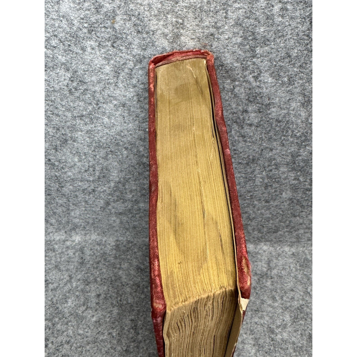 Elsie Venner A Romance of Destiny Oliver Wendell Holmes Riverside Vol V 1890s