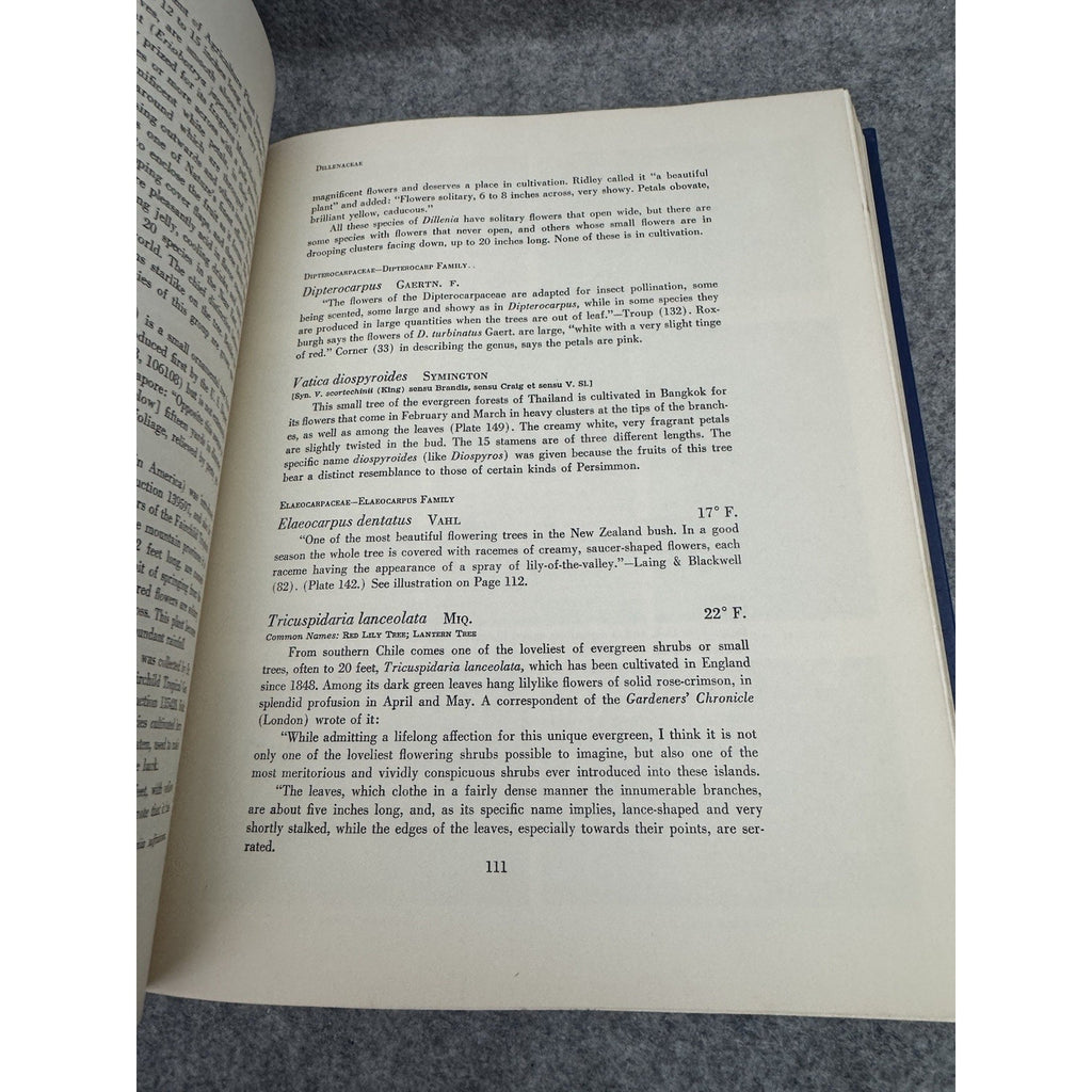 1962 Flowering Trees of the World Edwin A Menninger 1st Edition HC